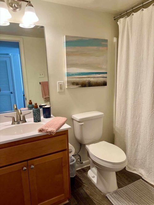 Modern Apartment Bathroom