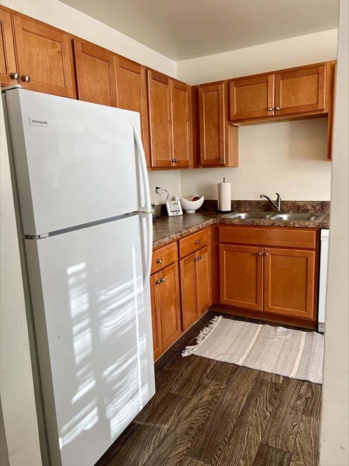 Interior Of Apartment Kitchen