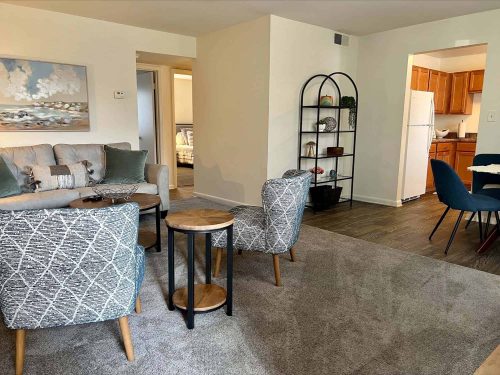 Furnished Apartment Living Area